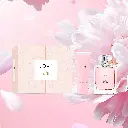Love Feed Insta 12.webp