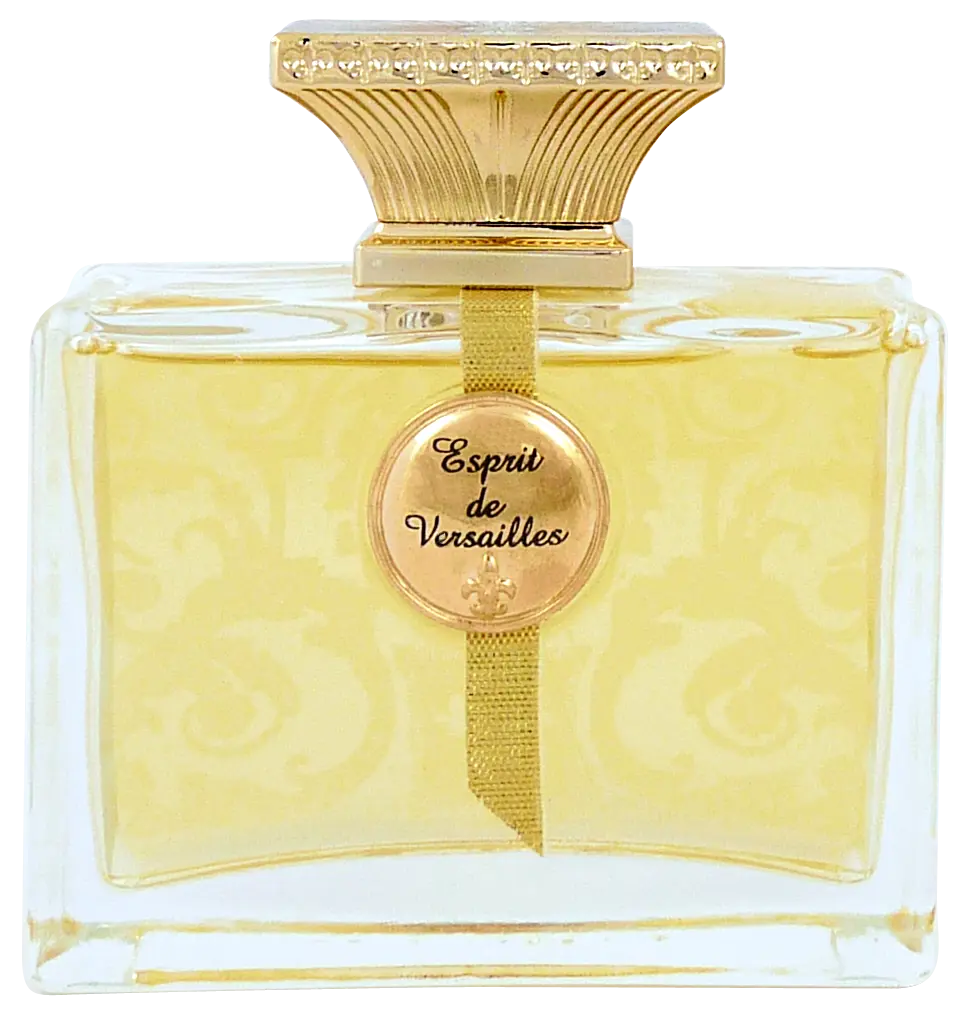 ESPRIT DE VERSAILLES Eau de Parfum pour Femme 100ML